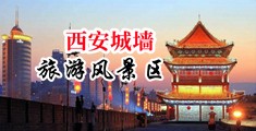 女人被叉小穴视频中国陕西-西安城墙旅游风景区